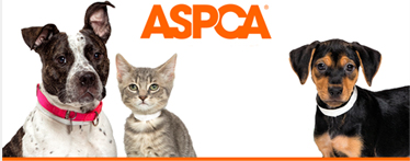 The American Society for Prevention of Cruetly to Animals 